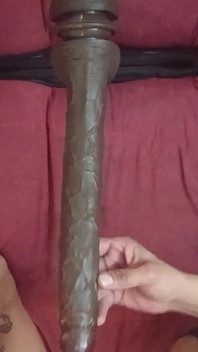 ビーのドギーアーチATM