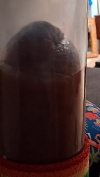 Extreme Silicone Cock Pumping