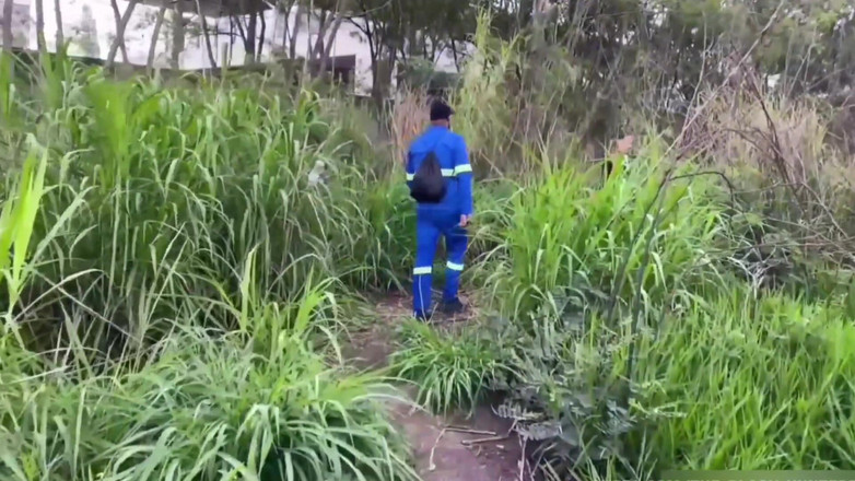 TheBlacKHunterr: Trabalhador Passou No Parque E Ganhou Uma Mamada