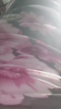 6650151