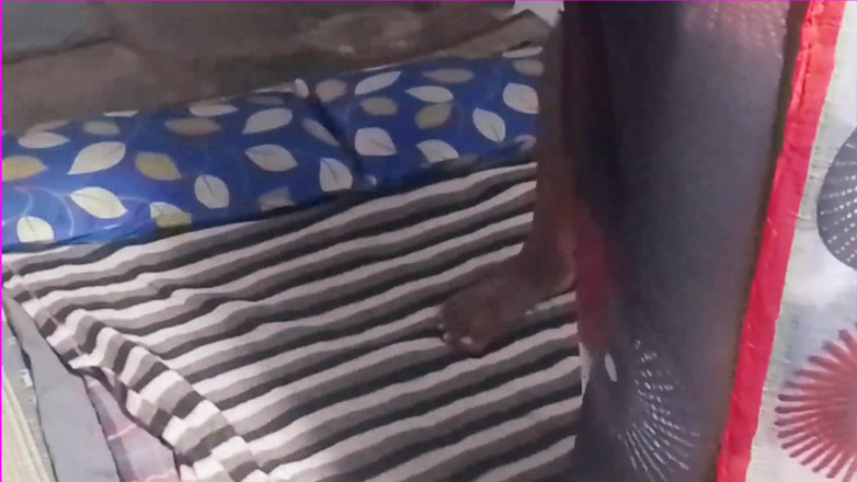 Desi palace: Sexy junger desi bhabhi-sari-sex