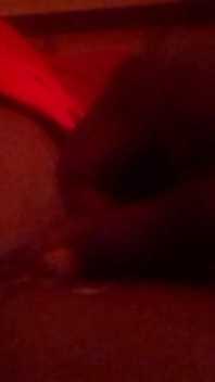 Morning Cum