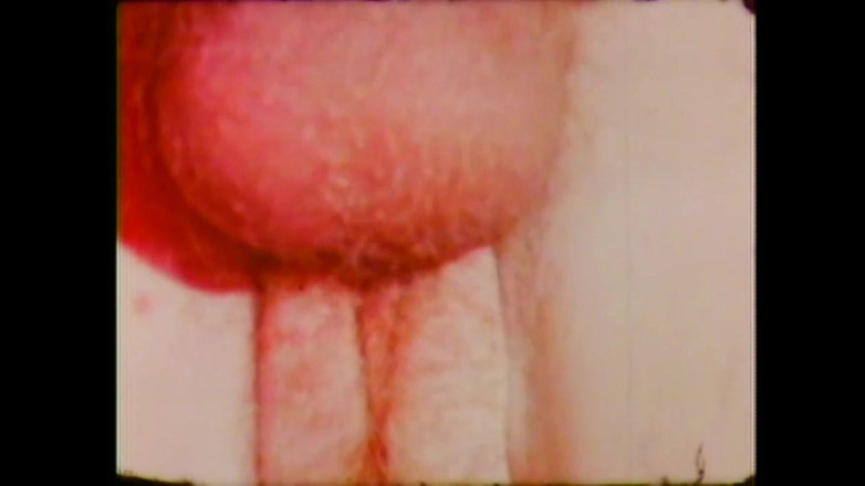 Vintage megastore: Cyndee Summers E Amici