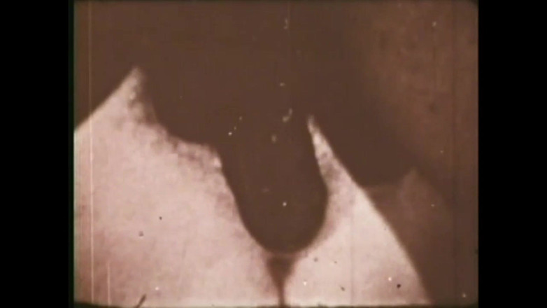 The Unforgettable: 野性小马