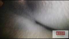 Mexicasero: Femeie latino perfectă în colanți