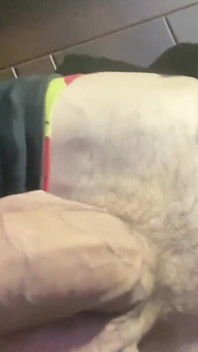 Tommy Went to the Store for Food, When He Comes Back He Will Fuck Hans