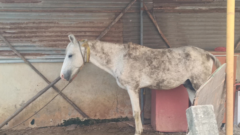 Inba: आउटडोर चुदाई