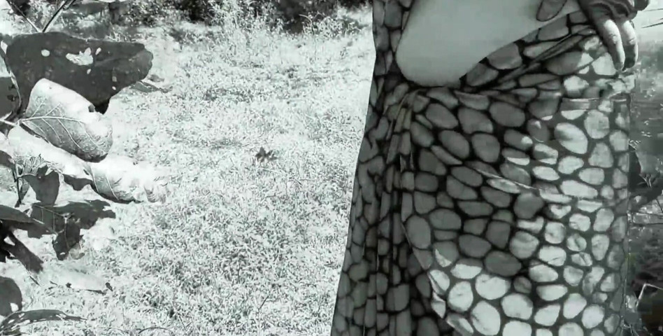 Taking Me to the Forest, She Said, Fuck Me, Rajaji, I Am Feeling Very (Your fantasy)