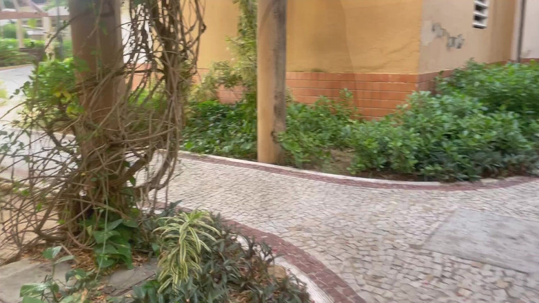 Amateur world: Mladá bílá Celá růžová