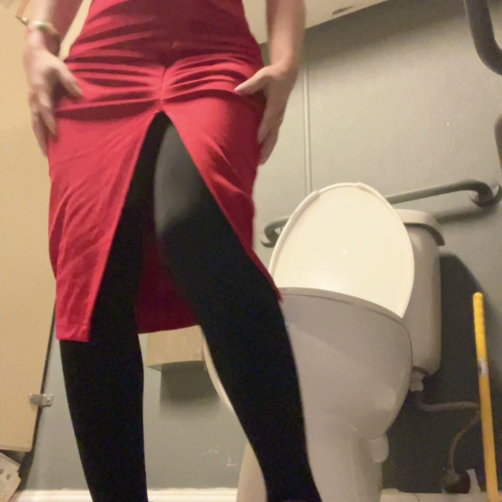 sweethanajapanese: Show Sex in the Toilet Room