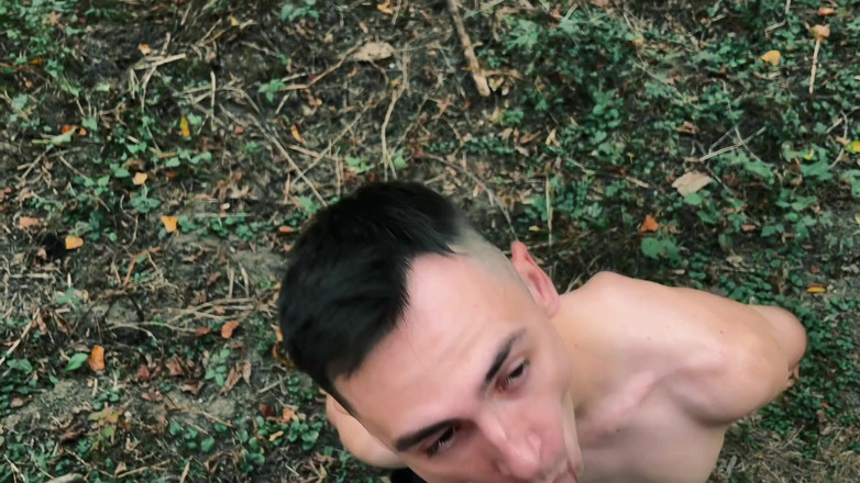 Nick Lewis: フォレストクルージング