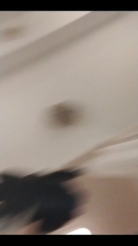 4399922294