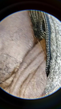 Soft Uncut Black Big Dick Slow Mo
