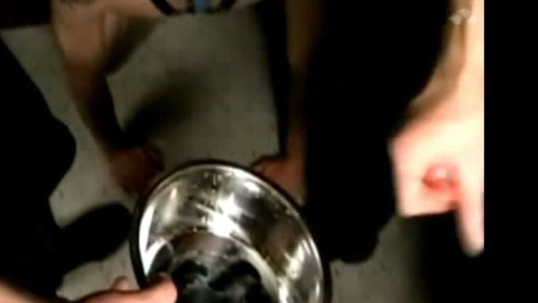 MACHO FUCKER FROM SPAIN: Festa BDSM com Amigos