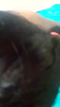 Hot Married Indian Bhabhi Bedroom Sex After Longtime