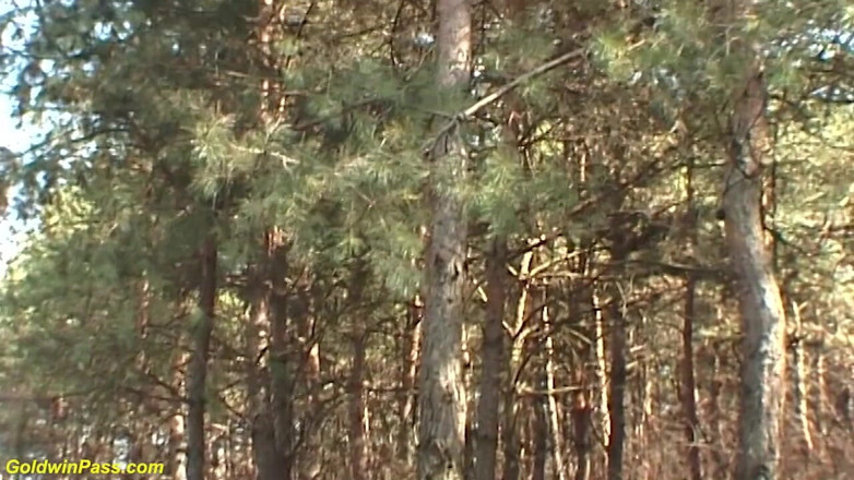 Goldwin pass: Hairy bush skinny German girl rough big cock outdoor fucked