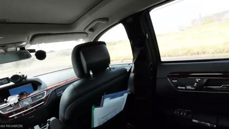 What type of JAV do you like: Asian Angel 28006