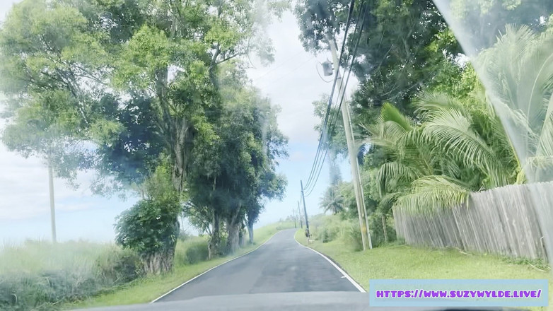 Suzy Wylde: Поїздка Sfw до Хани для Сьюзі Уайлд у водоспаді Веймоку, Мауї