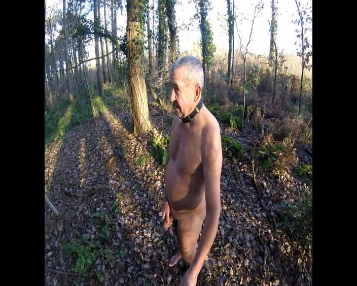 Andy: Partea 2 Pădure umedă