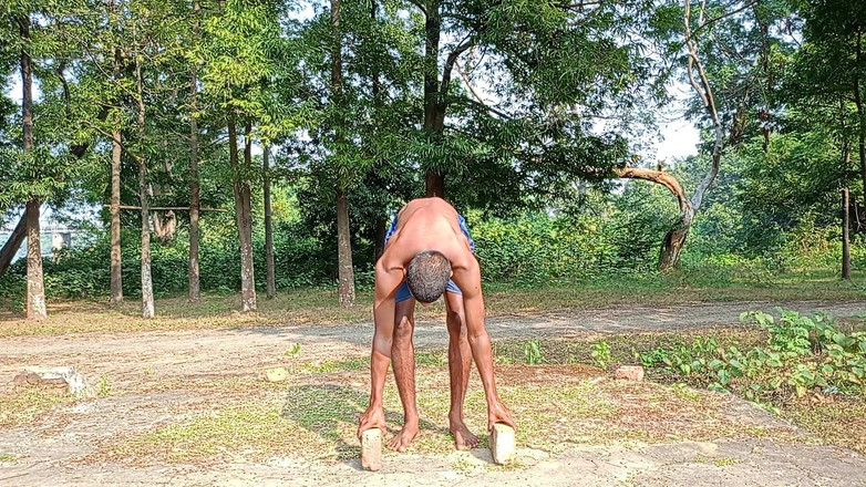 LinearOrnament35: Poder de ajuste