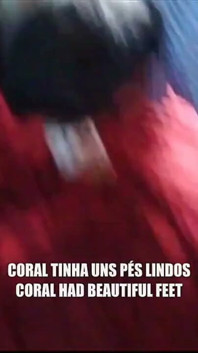 Diario do Podolatra Gresopio - Adoration 2