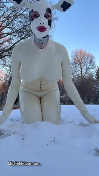 Snow Cow