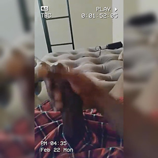 Prettyboy J: Zabawa z palmą