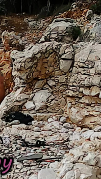 Lerares Frans Openbare Pijpbeurt Nudistenstrand Voyeur Zee - Extreme Cumshot