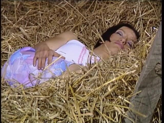 MMV Films and Clips XXX: 田舎の野生のセックス - エピソード2