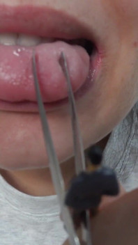 Minha meia-irmã gigante brinca de dentista com pequeno meio-irmão