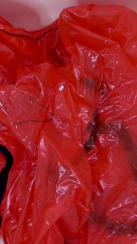 Slippery JOI in Pvc Catsuit: Instruksi Ngentot Sampai Dicrot di Dalam