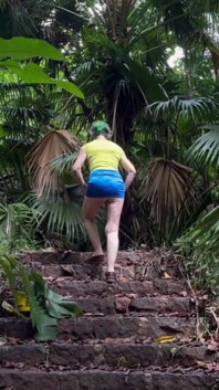 Walking up Old Stairs in the Hawaiian Rainforest