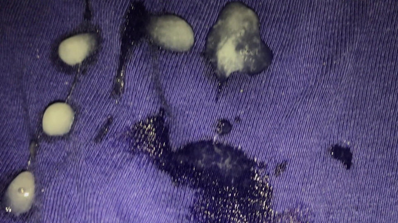 IlyaWilliam: Young boy wank and cums on underpants