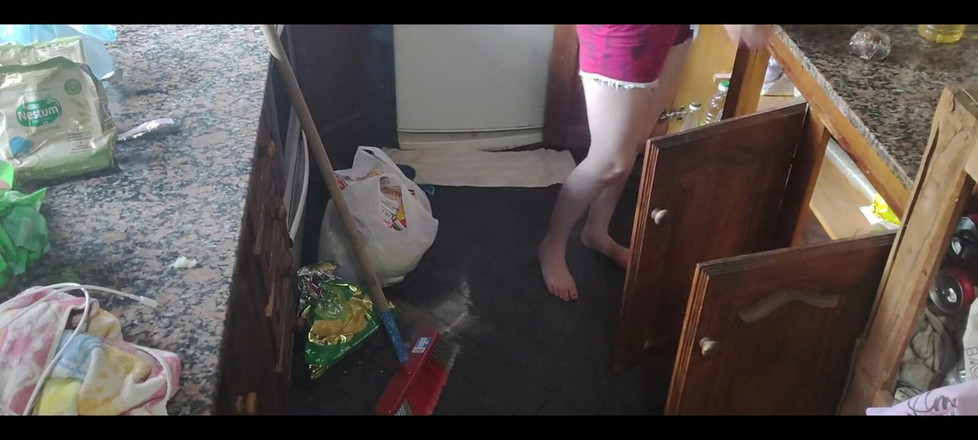 RavenHearth666VIP: Cleaning day 