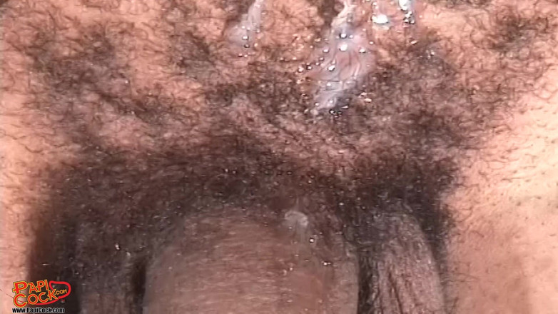 Papi Cock: Papi Rico