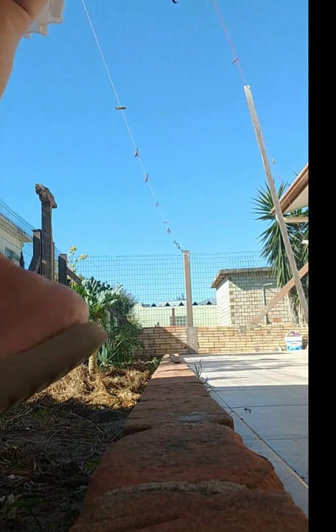 Priscila: 庭でパンティなしで見せびらかす継母