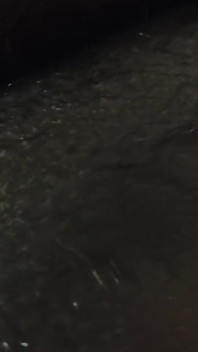 Gay Ass and Dick