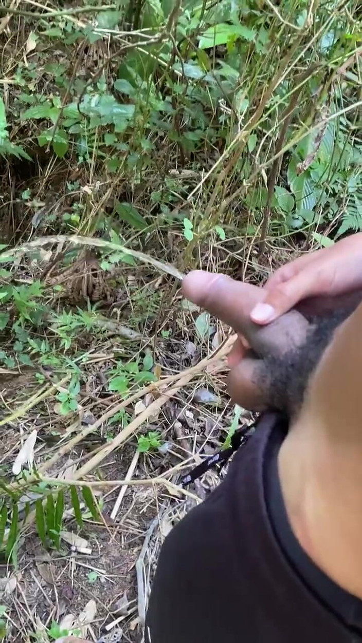 Vida Noite: Beplast met passie, pissen op de paden