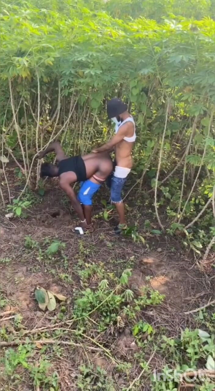 Chief_daddyy: Przekładnia typu C do typu C.