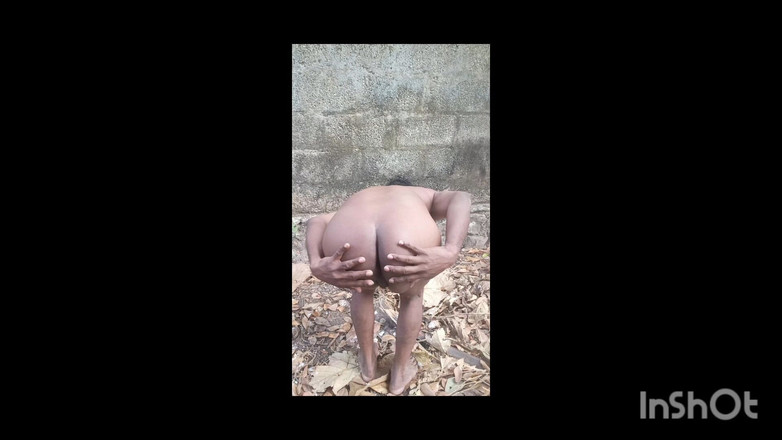 shapemodel: Sulu desi sırt görünümü tam şekil