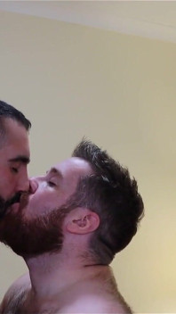 Bears Kissing