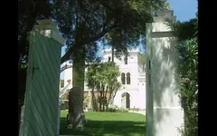 Asylum for Nasty Sluts!
