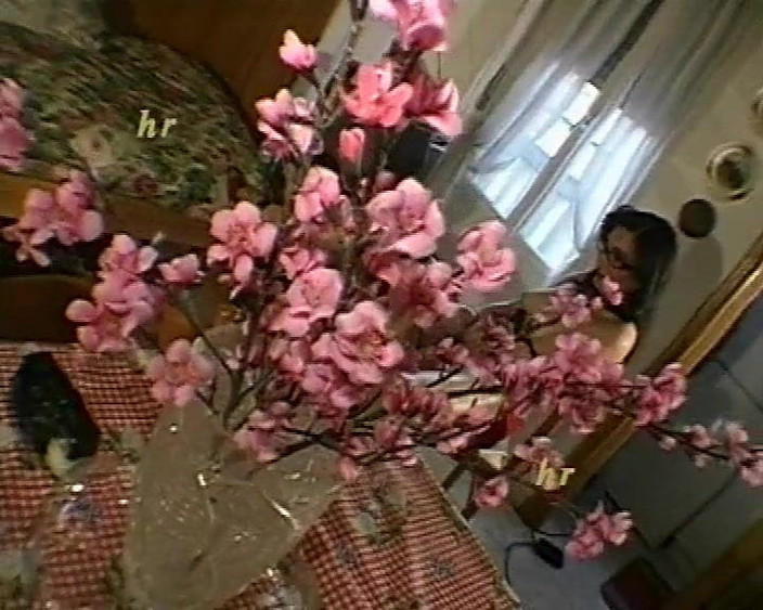 Hans Rolly: Любитель 90-х - сусід хоче стати порнозіркою, частина 6