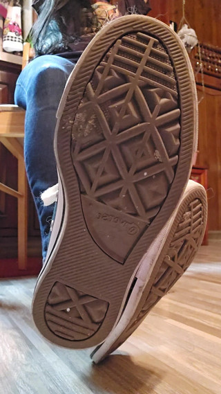 Raven Willow: Scesi e pulisci le mie converse