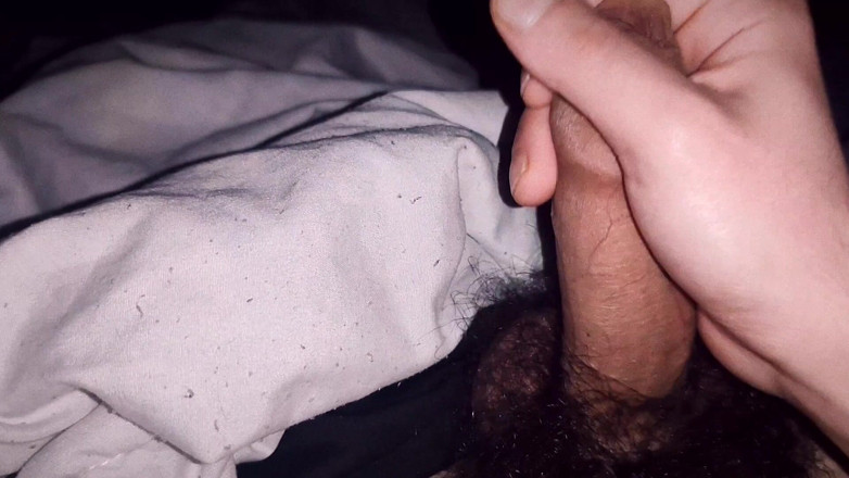 MartyBrady: 20yo Sexy Twink Hairy Cock Mastorbation
