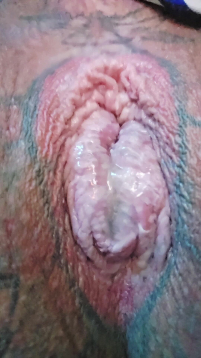 Ryan743: Pantatku dientot habis-habisan sama butt plug selama 12 jam!
