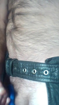 Penis Ring and Harness