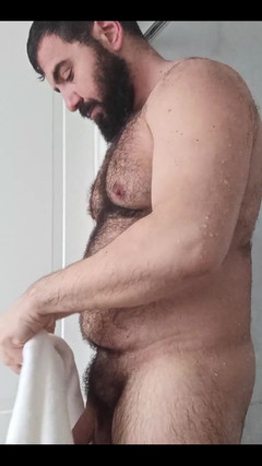 Ulysses the bear: 晾干