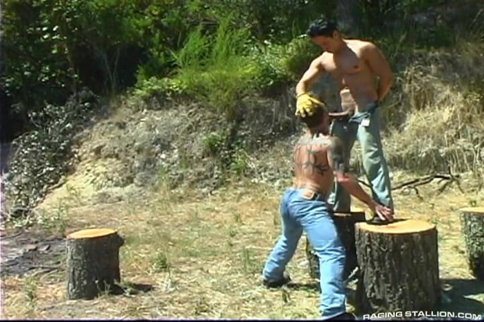 Monster Bang: Hard as Wood