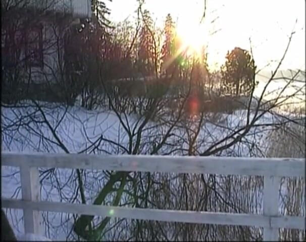 Radical Lesbian: 90er lesben aus Finnland